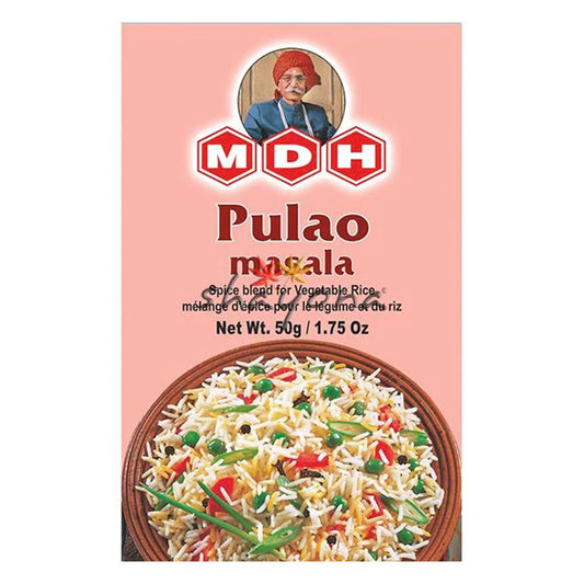 MDH Tandoori BBQ Masala (100g)