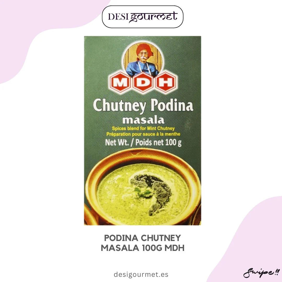 Spice Mix for Mint Sauce | Podina Chutney Masala 100g MDH